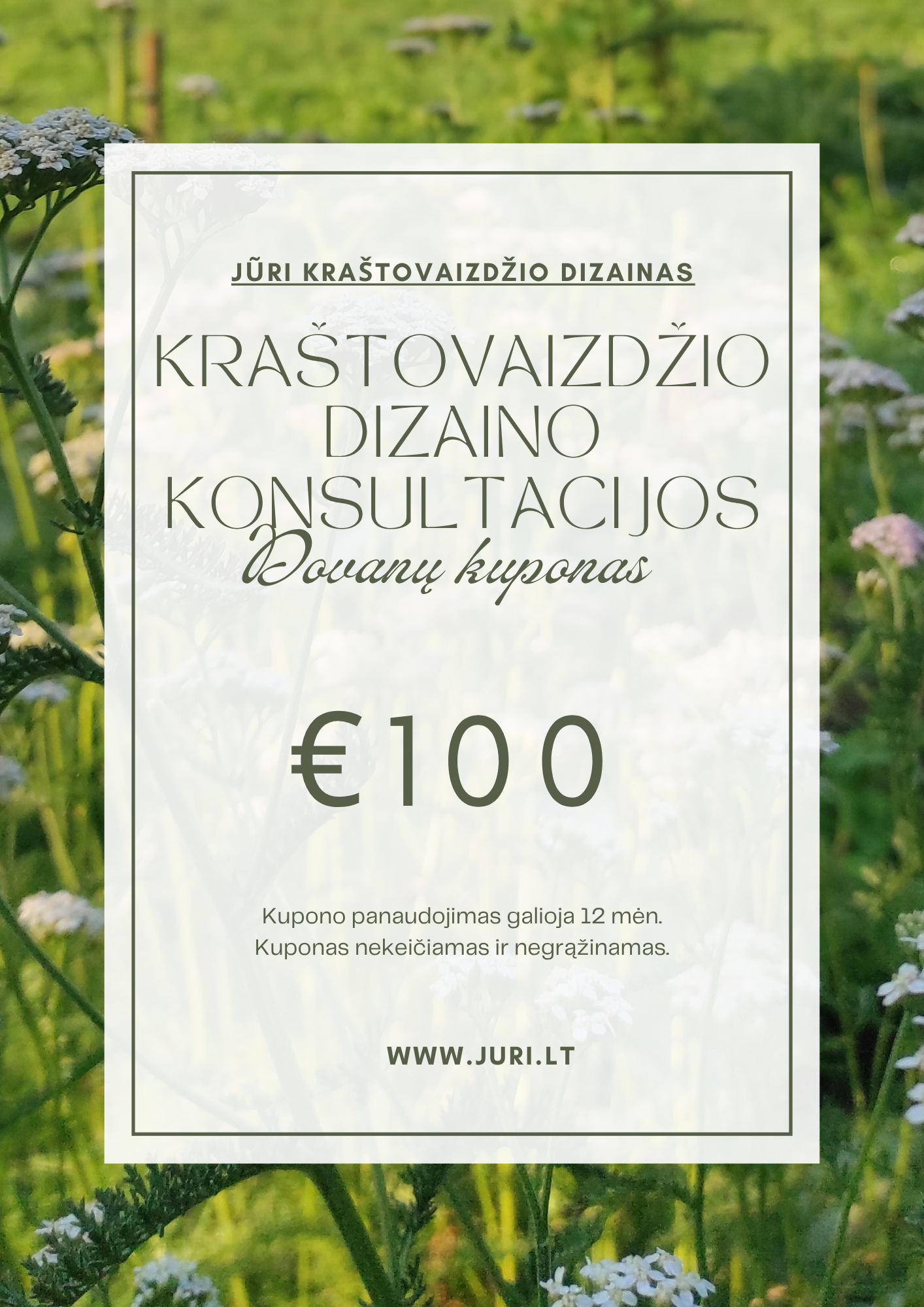 Kraštovaizdžio dizaino konsultacijos dovanų kuponas